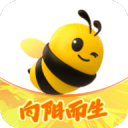 直播续航超26小时，荣耀X80 Pro Max正式发布，硬核可靠
